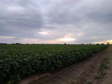 Campo - Fortin Inca