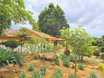 Vendo Casa Natividad