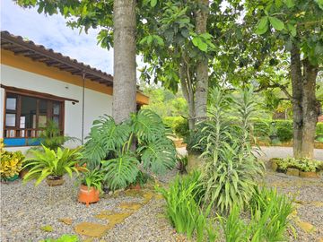 Vendo Casa Natividad