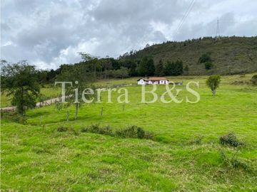 VENTA DE FINCA EN VILLA DE LEYVA, 11,5 HECTARIAS POR $1.500'000.000
