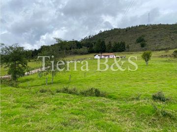VENTA DE FINCA EN VILLA DE LEYVA, 11,5 HECTARIAS POR $1.500'000.000