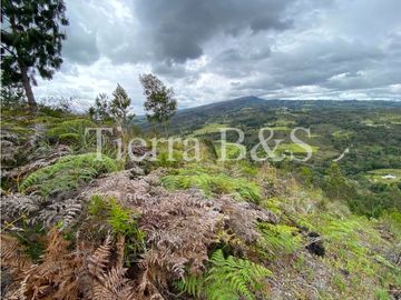 VENTA DE FINCA EN VILLA DE LEYVA, 11,5 HECTARIAS POR $1.500'000.000