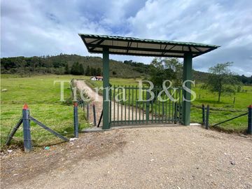 VENTA DE FINCA EN VILLA DE LEYVA, 11,5 HECTARIAS POR $1.500'000.000