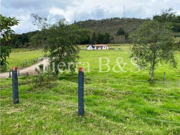 VENTA DE FINCA EN VILLA DE LEYVA, 11,5 HECTARIAS POR $1.500'000.000