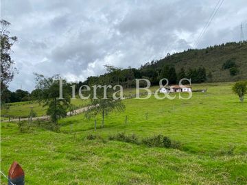 VENTA DE FINCA EN VILLA DE LEYVA, 11,5 HECTARIAS POR $1.500'000.000