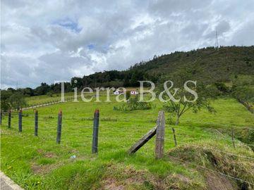 VENTA DE FINCA EN VILLA DE LEYVA, 11,5 HECTARIAS POR $1.500'000.000