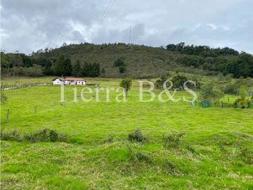 VENTA DE FINCA EN VILLA DE LEYVA, 11,5 HECTARIAS POR $1.500'000.000