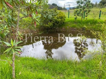 VENTA DE FINCA EN VILLA DE LEYVA, 11,5 HECTARIAS POR $1.500'000.000
