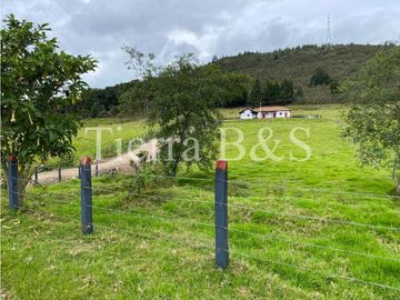 VENTA DE FINCA EN VILLA DE LEYVA, 11,5 HECTARIAS POR $1.500'000.000