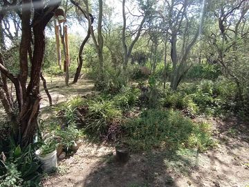 Venta Hermosa Casa Villa de Las Rosas, Traslasierra