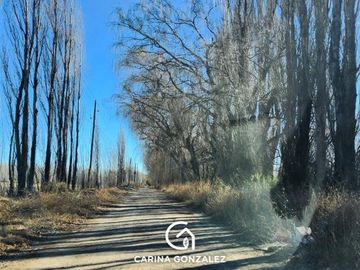 Chacra en  Vista Alegre Sur