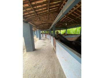 Se vende Finca en la vía Alcala - Morelia