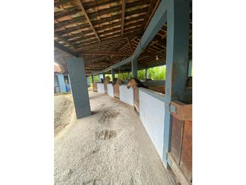 Se vende Finca en la vía Alcala - Morelia