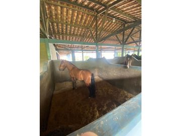 Se vende Finca en la vía Alcala - Morelia