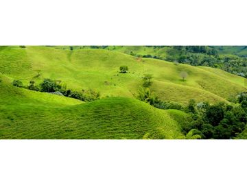 Casas Campestres para venta en Calarcá Quindío, proy. en construcción.