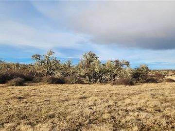 Agrícola en Venta en Morro Chico