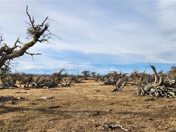 Agrícola en Venta en Morro Chico