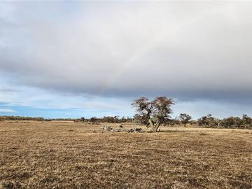 Agrícola en Venta en Morro Chico