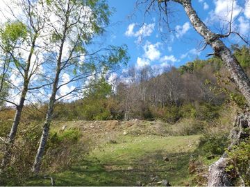 Venta ,Terreno de Ensueño vista al lago Riñihue