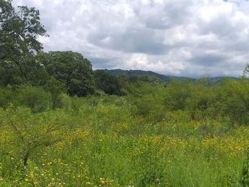 TERRENOS EN VENTA - LA CALDERA - SALTA- 4 HECTAREAS