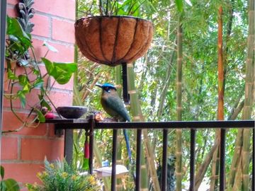 Venta apartamento barrio la paz Envigado