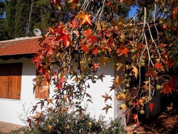 Casa quinta - Lobos
