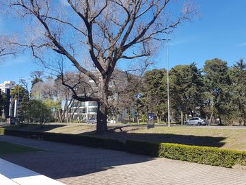 deparatmento - pinamar