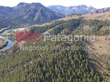 Campo - Ruta 237- Bariloche