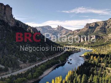 Campo - Ruta 237- Bariloche