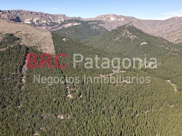 Campo - Ruta 237- Bariloche