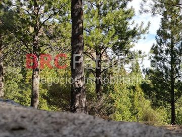 Campo - Ruta 237- Bariloche