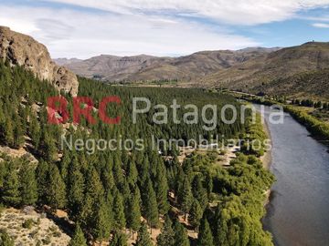 Campo - Ruta 237- Bariloche