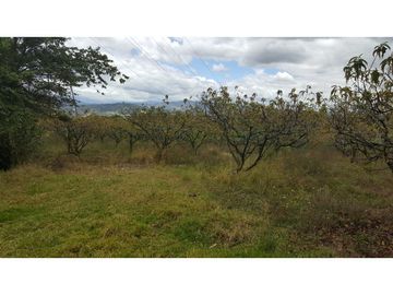 VENDO FINCA EN PAIPA 15.3 HECTREAS