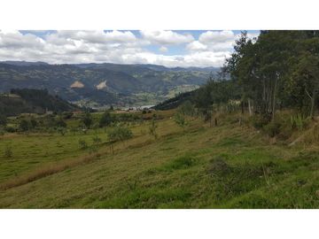 VENDO FINCA EN PAIPA 15.3 HECTREAS
