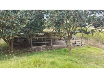 VENDO FINCA EN PAIPA 15.3 HECTREAS