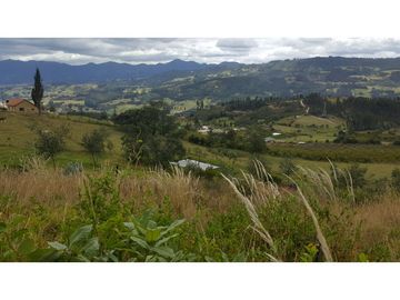 VENDO FINCA EN PAIPA 15.3 HECTREAS