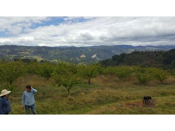 VENDO FINCA EN PAIPA 15.3 HECTREAS