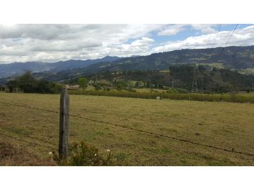 VENDO FINCA EN PAIPA 15.3 HECTREAS