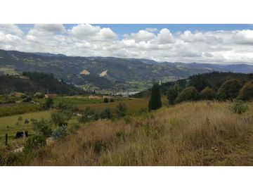 VENDO FINCA EN PAIPA 15.3 HECTREAS