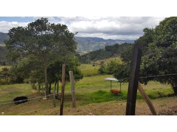 VENDO FINCA EN PAIPA 15.3 HECTREAS