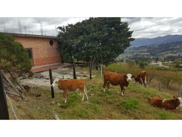 VENDO FINCA EN PAIPA 15.3 HECTREAS