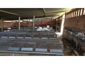 VENDO FINCA EN PAIPA 15.3 HECTREAS