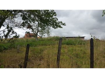 VENDO FINCA EN PAIPA 15.3 HECTREAS