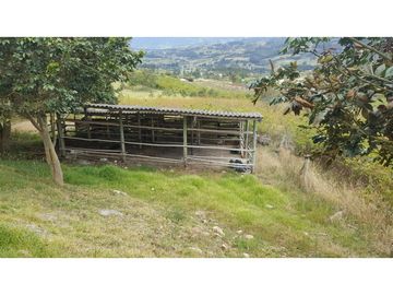 VENDO FINCA EN PAIPA 15.3 HECTREAS