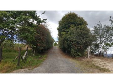VENDO FINCA EN PAIPA 15.3 HECTREAS