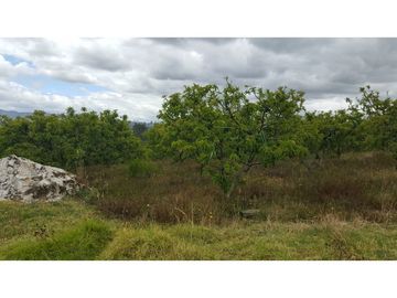 VENDO FINCA EN PAIPA 15.3 HECTREAS