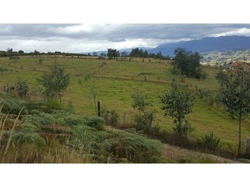 VENDO FINCA EN PAIPA 15.3 HECTREAS