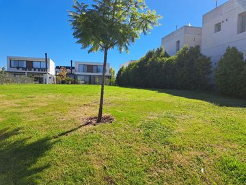Lote en Venta en Los Castaños, Nordelta. Excelente vista abierta al lago.