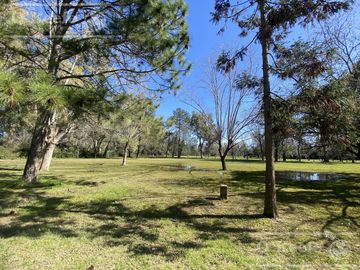 Casa Quinta de 2 Has con pileta y gran arboleda en Abasto - En venta en La PLata
