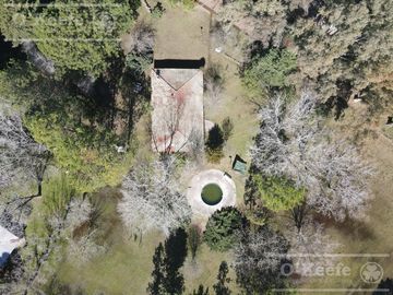 Casa Quinta de 2 Has con pileta y gran arboleda en Abasto - En venta en La PLata